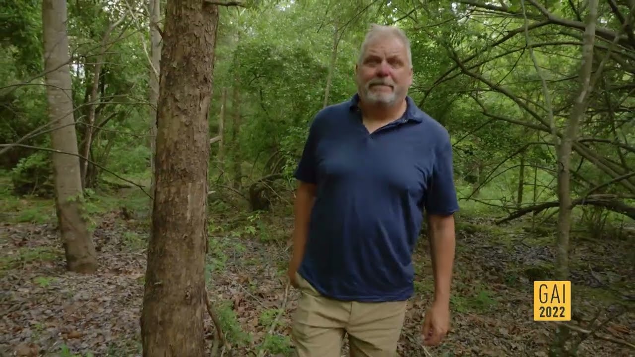 Replanting forests lost to coal mining
