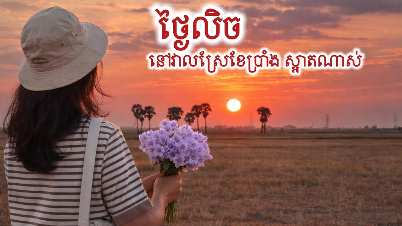 បាត់​ស្ត្រេស​ មេីល​ថ្ងៃ​លិច​ខែ​ប្រាំង​ ចាំង​ពន្លឺ​ស្អាត​ Best Scenery of Rice Fields near Tonle Sap