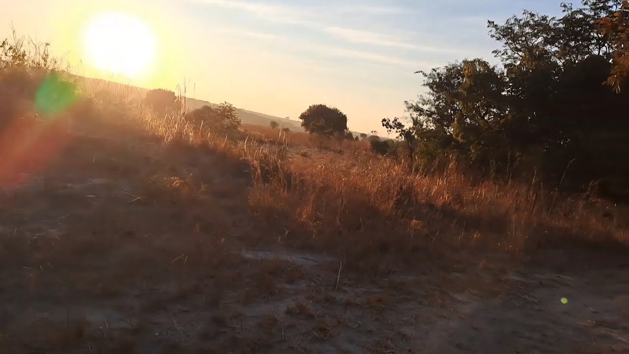 My First Brisk Walk on Johnson Farm Kapiri Zambia.