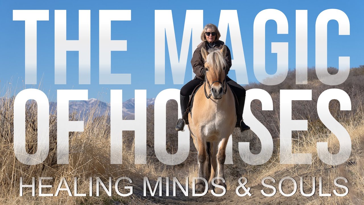 The Healing Power of Horses – Jolene Green’s Mission