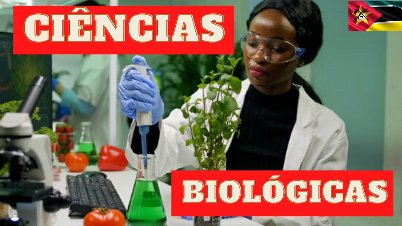 SAIBA COMO É SER UM ( A)  BIOLOGO ( A ) EM MOÇAMBIQUE, OQUE FAZ NO SEU DIA A DIA|GUIA DAS PROFISSÕES