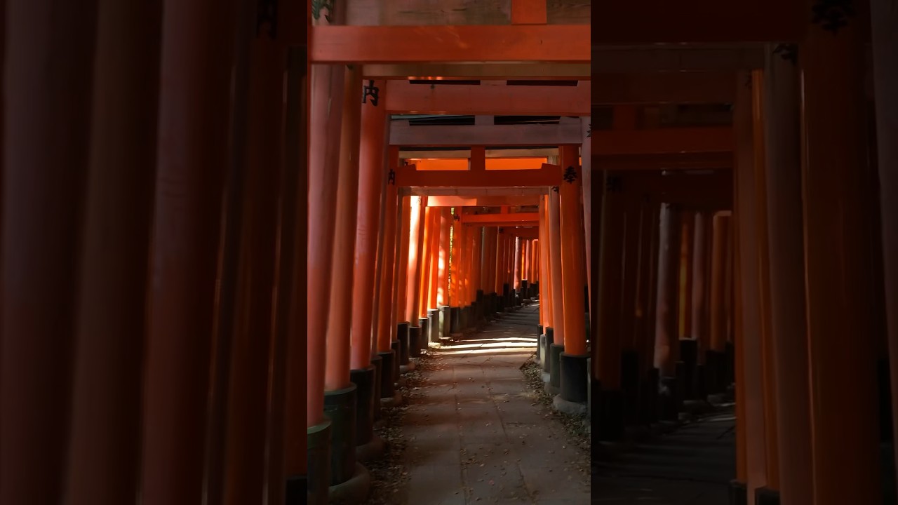 ASMR Day Seven In Japan #ASMR #Shorts