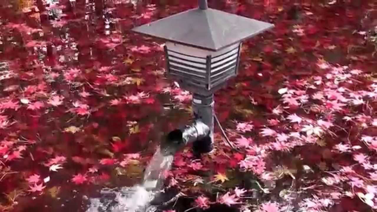 岩手県　盛岡市　庭園　南昌荘