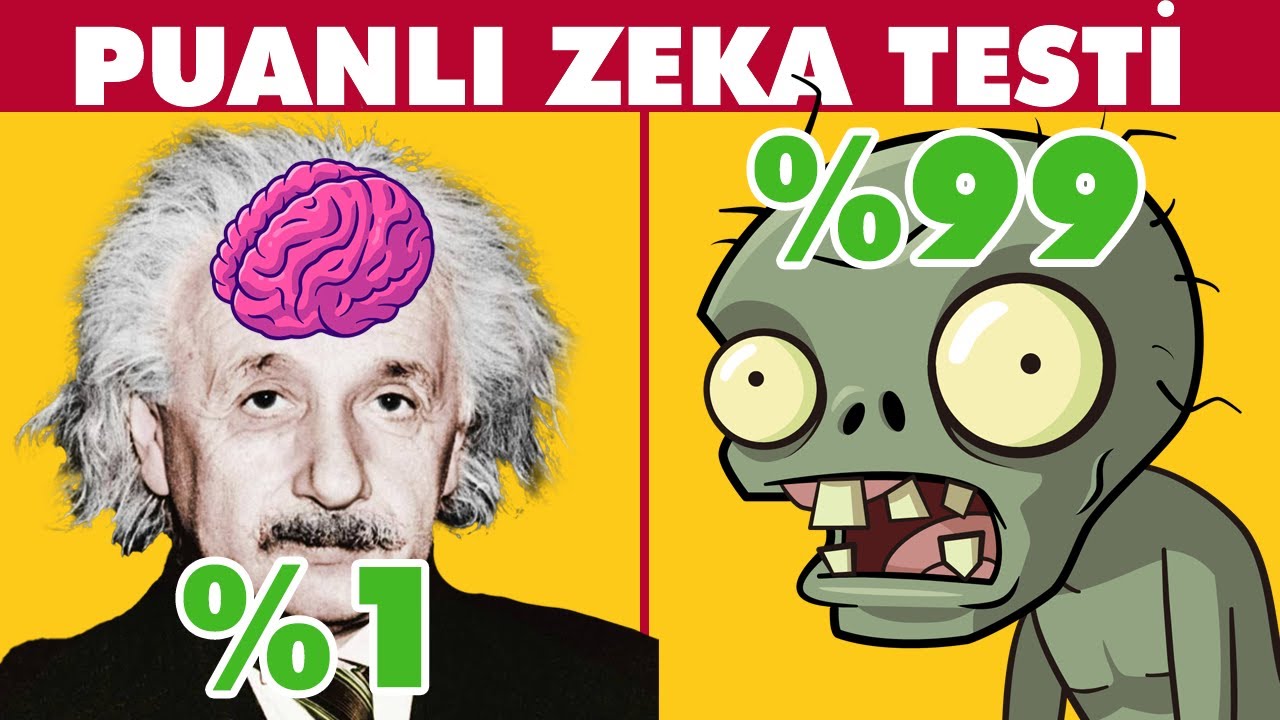 Puanlı S&uuml;per Hızlı Zeka Testi (8 dakika)