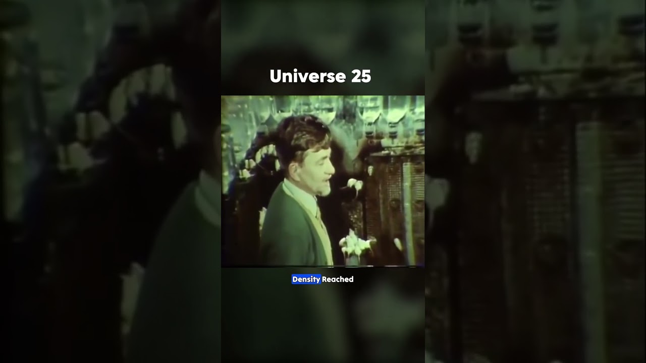 Эксперимент &laquo;Вселенная 25&raquo;