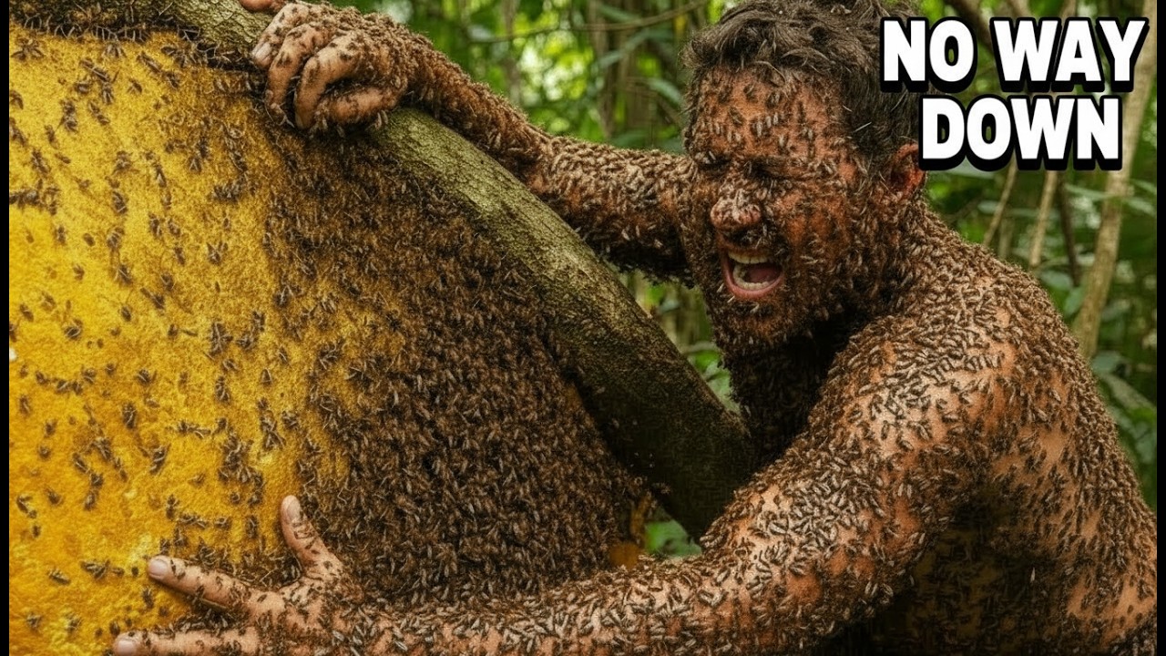 One Wrong Move&hellip; No Way Down (Angry Bees Everywhere)