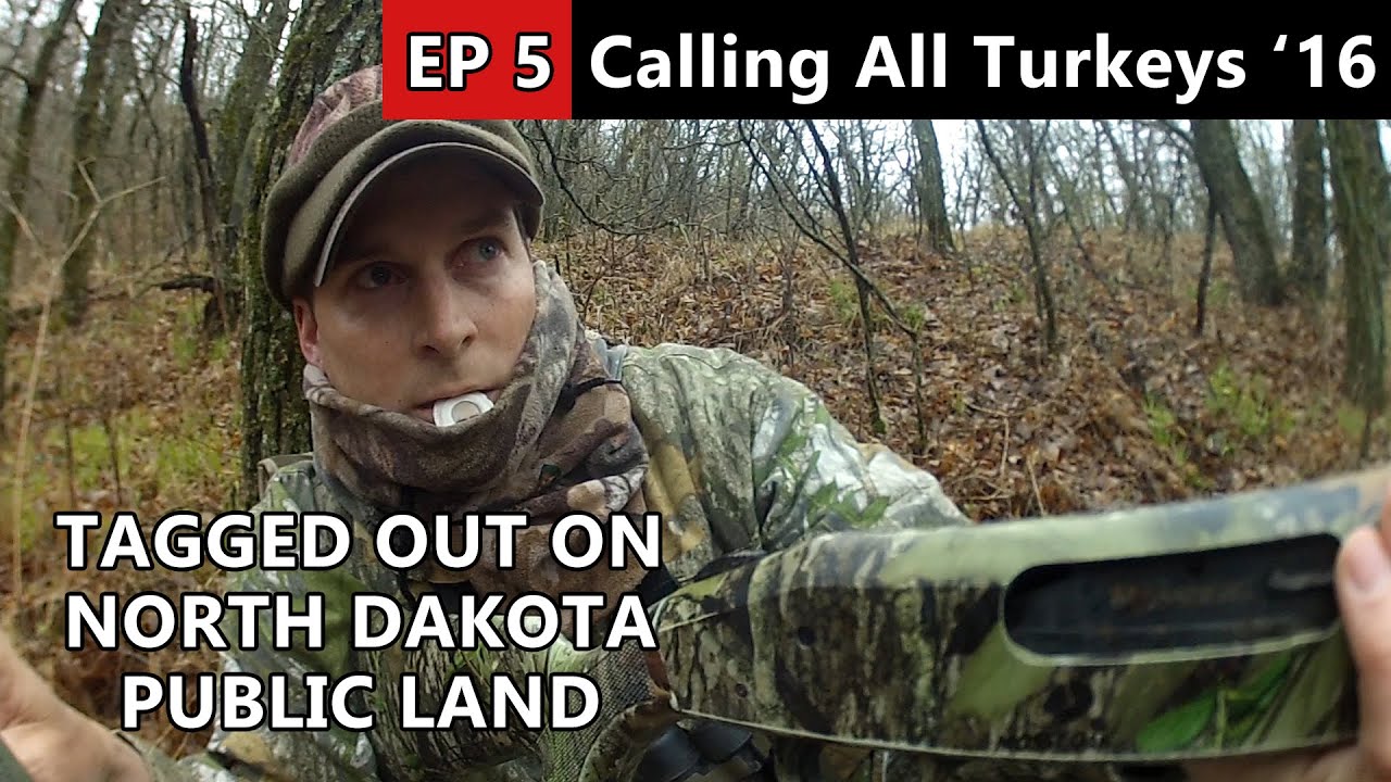 HE'S COMING FAST!!! Public Land Hunting in NORTH DAKOTA - Calling All Turkeys