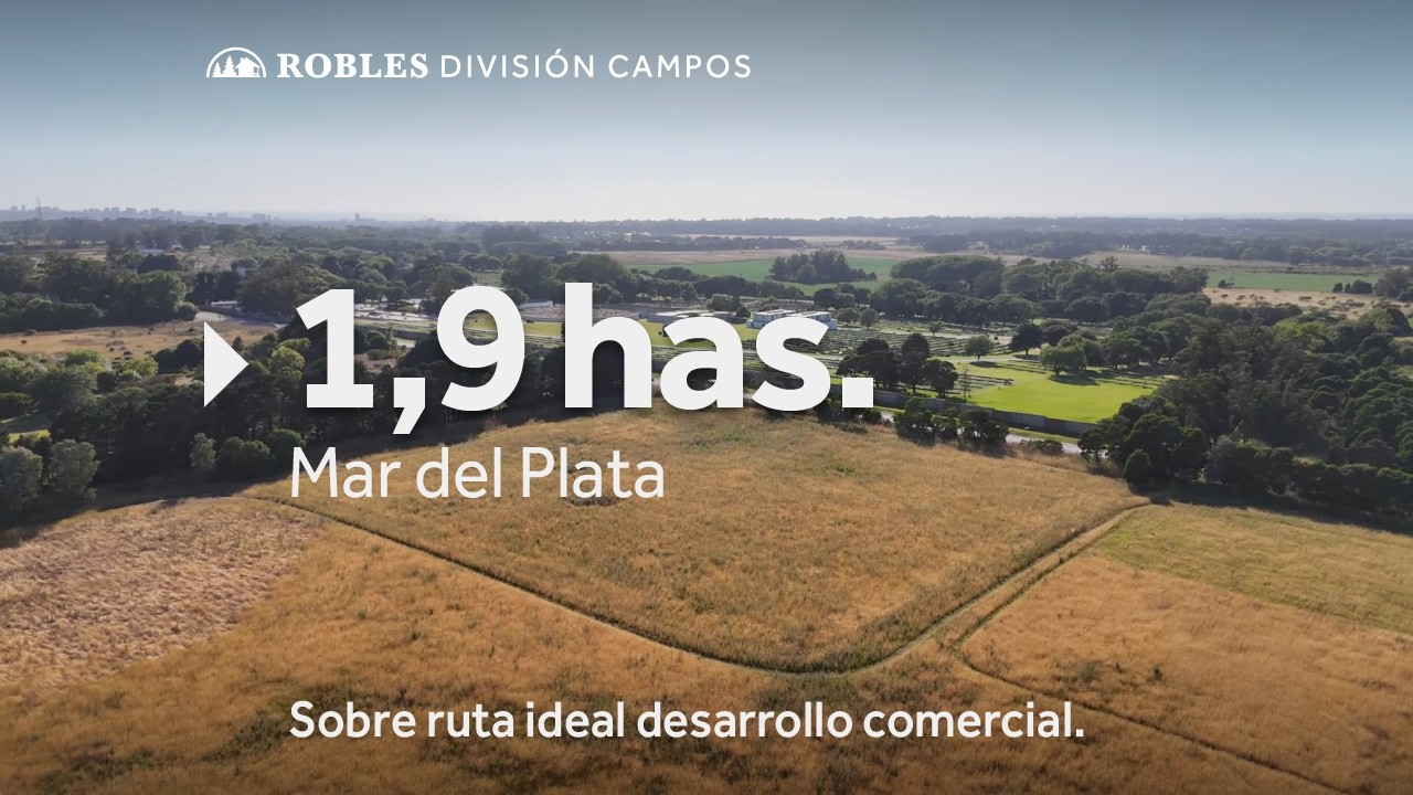 Mar del Plata - 1,9 has. Sobre ruta ideal desarrollo comercial.