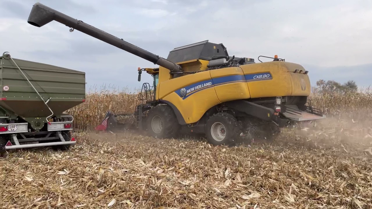 Уборка кукурузы. Комбайн New Holland CX 8.80 с жаткой Capello Diamant 8.