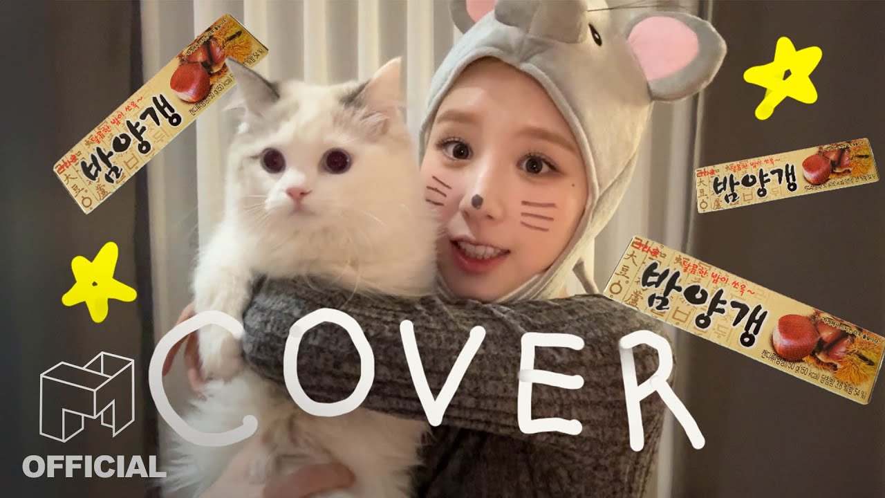 희진(HeeJin) ‘밤양갱’ Cover (Edited by HeeJin) | EN JP | ARTMS