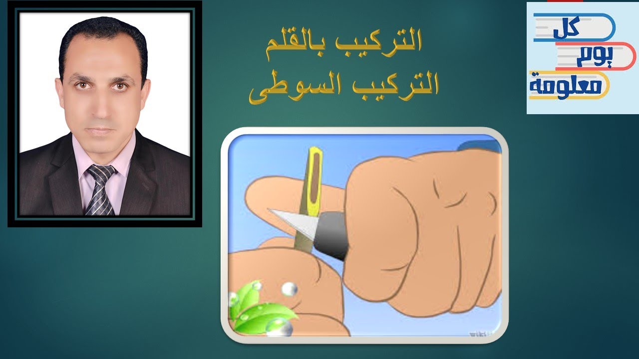 التطعيم السوطى(10)(كل يوم معلومة )