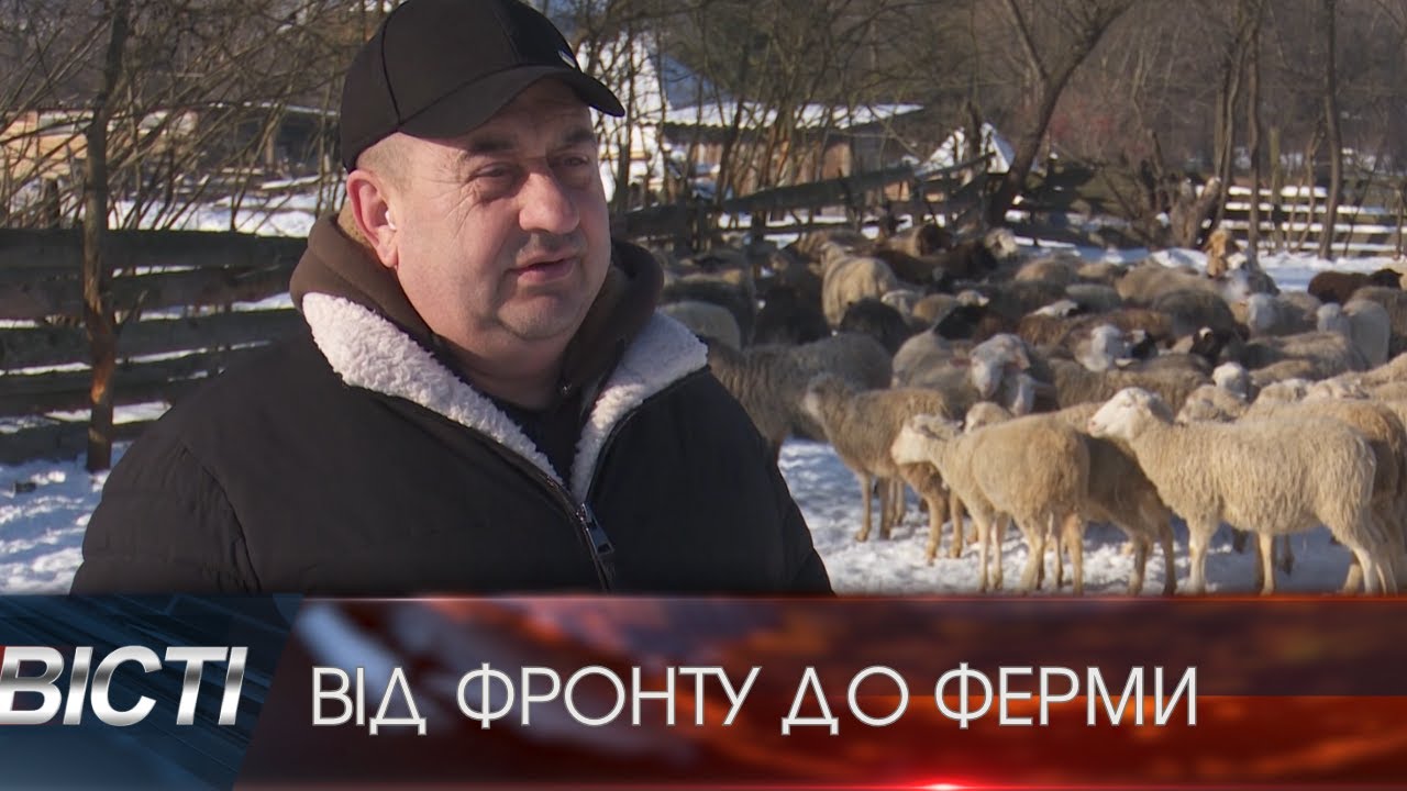 Ветеран війни створює в Карпатах вівчарський бізнес