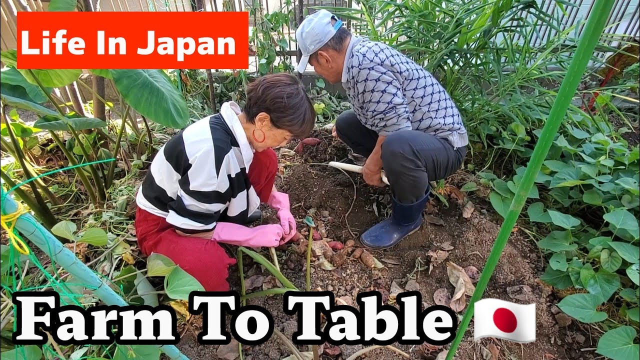 Farm to Table Japan🇯🇵/Harvest, Cook, and Share: A Joyful Culinary Conversation