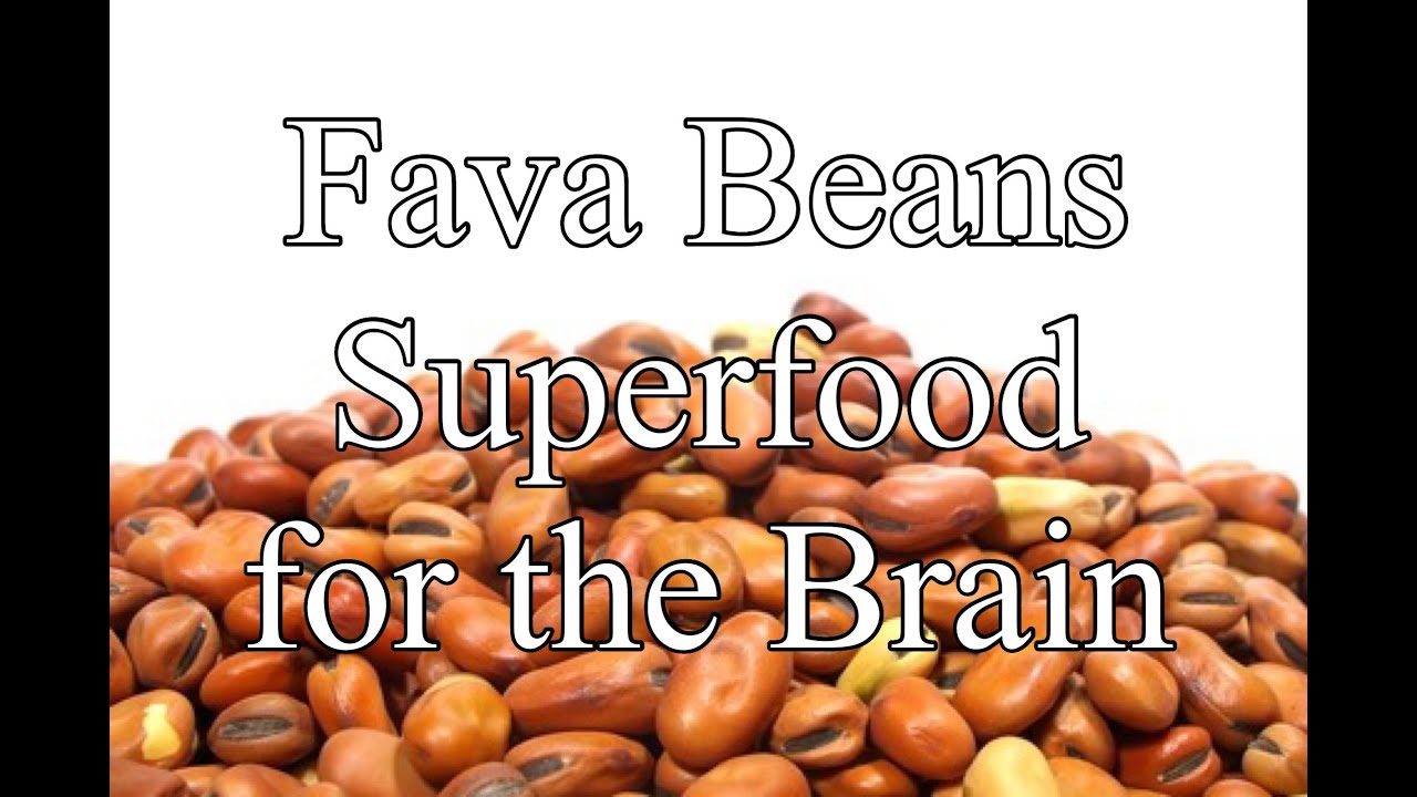 Fava Beans Superfood for the Brain