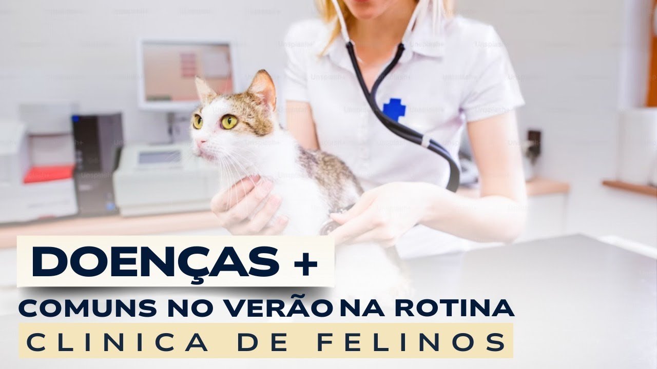 Doenças comuns no verão na Rotina Clínica