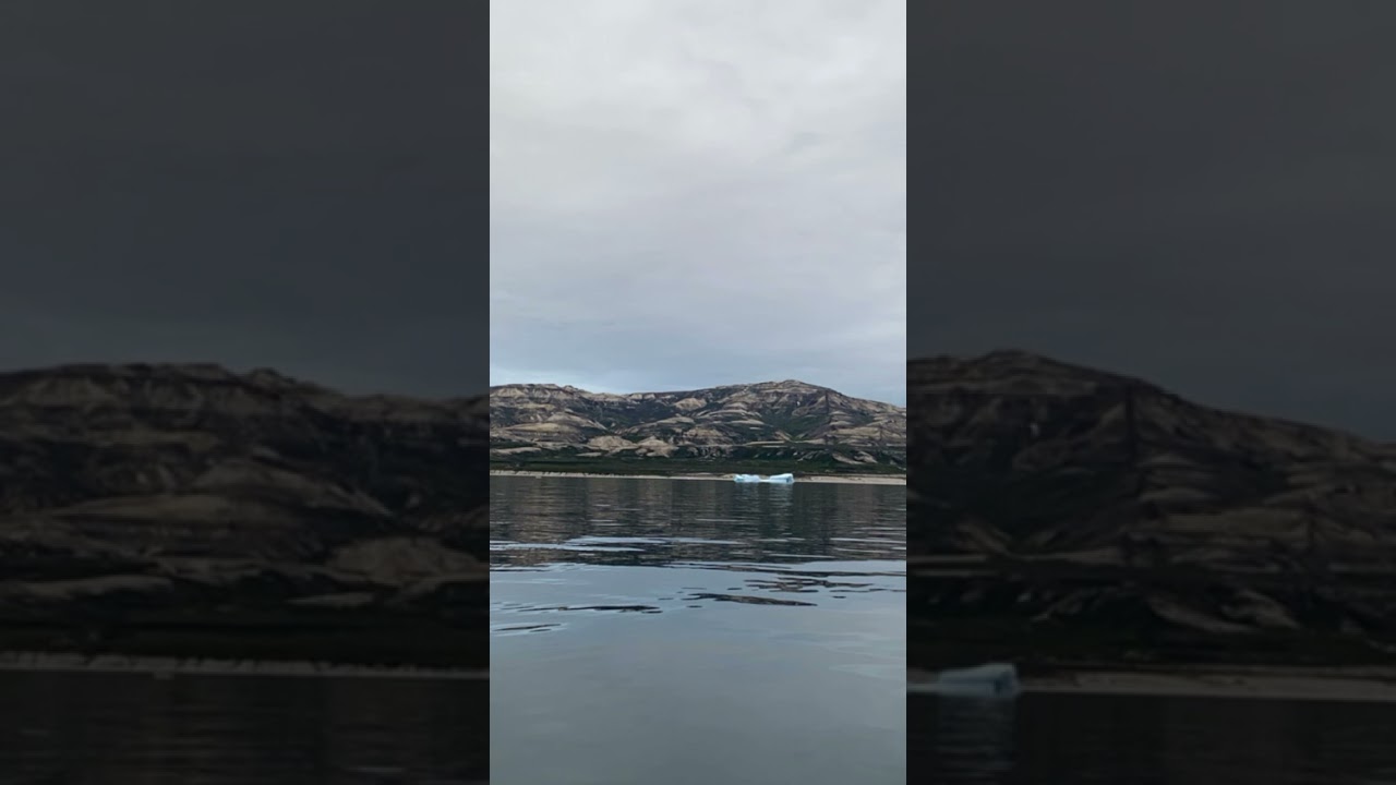 Hans lange, Eqqarsaatikka.