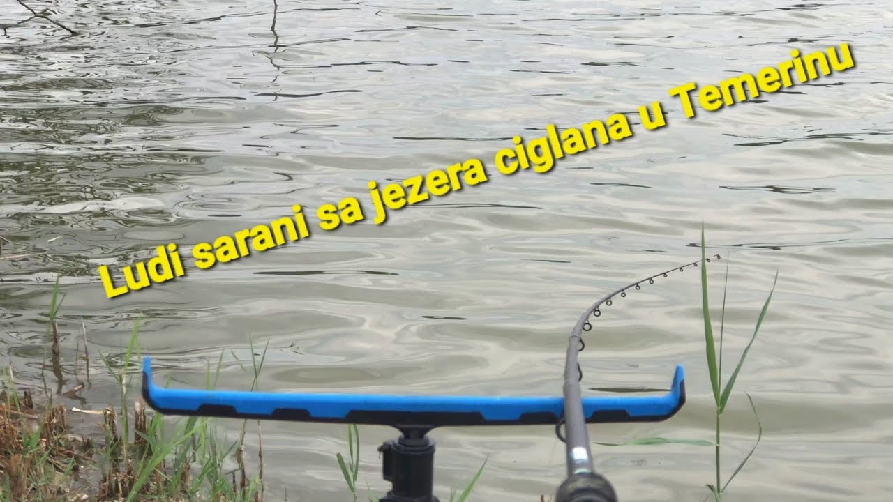 Pecanje feeder tehnikom, jezero ciglana Temerin