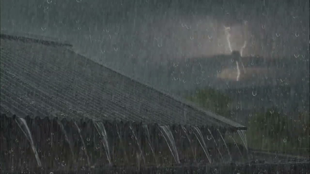 Gentle Rainfall 🌧️ | 3 Hours Sleep Sounds