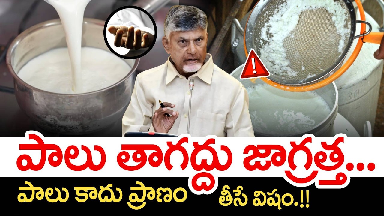 🚨ALERT Rajahmundry కల్తీ పాలు తాగుతున్నారు 😨| What happened Exactly ? | Milk Dangerous | PlayEven
