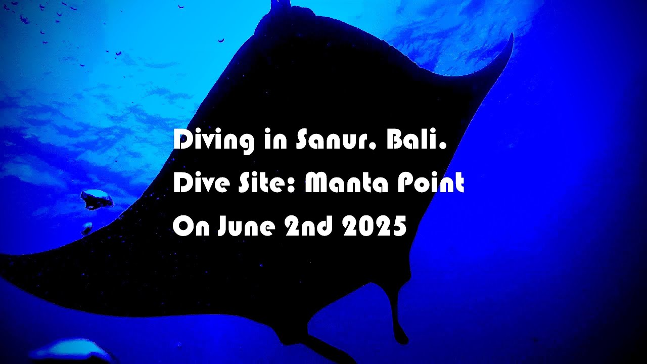 Diving with Mantas in Bali