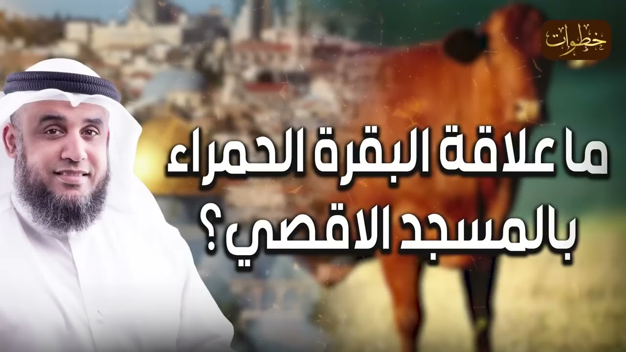نواف السالم  حذر منها أبو عبيدة، ما قصة البقرة الحمراء التي يريد اليهود ذبحها لدخول المسجد الأقصى ؟