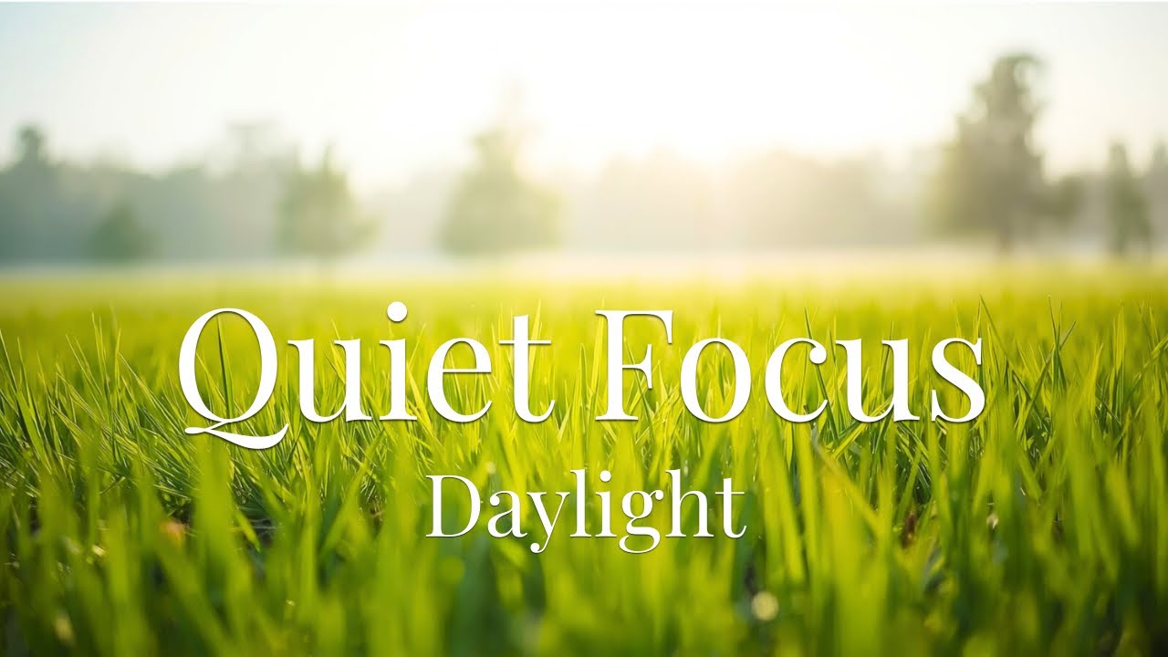 Lofi BGM for Quiet Focus｜作業・集中｜鮮緑に包まれる草原、やさしい昼光に身を委ねる時間｜Sunlit Meadow Lo-Fi