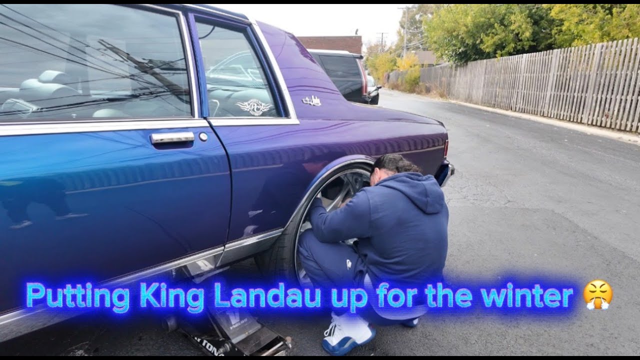 Подготовка King Landau к зиме