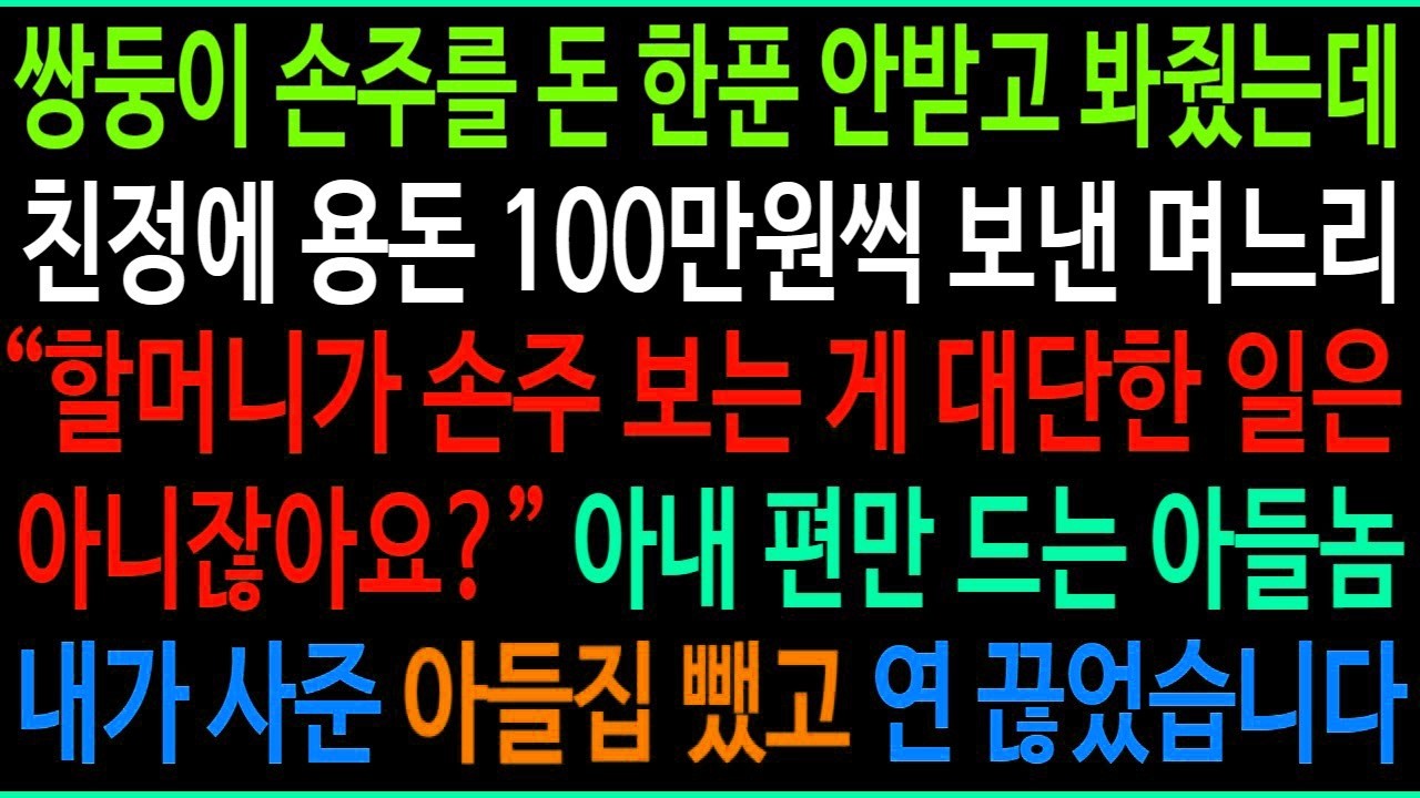 쌍둥이 손주를 공짜로 봐줬는데 알고보니 아들 며느리가 친정에 용돈 100만원씩 보내고 있었네요  아내 편만 드는 아들을 보고 내가 사준 아들집 뺐고 연 끊었습니다