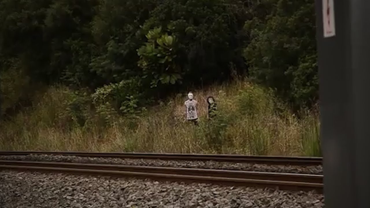 6 самых тревожных встреч в лесу, запечатлённых на камеру