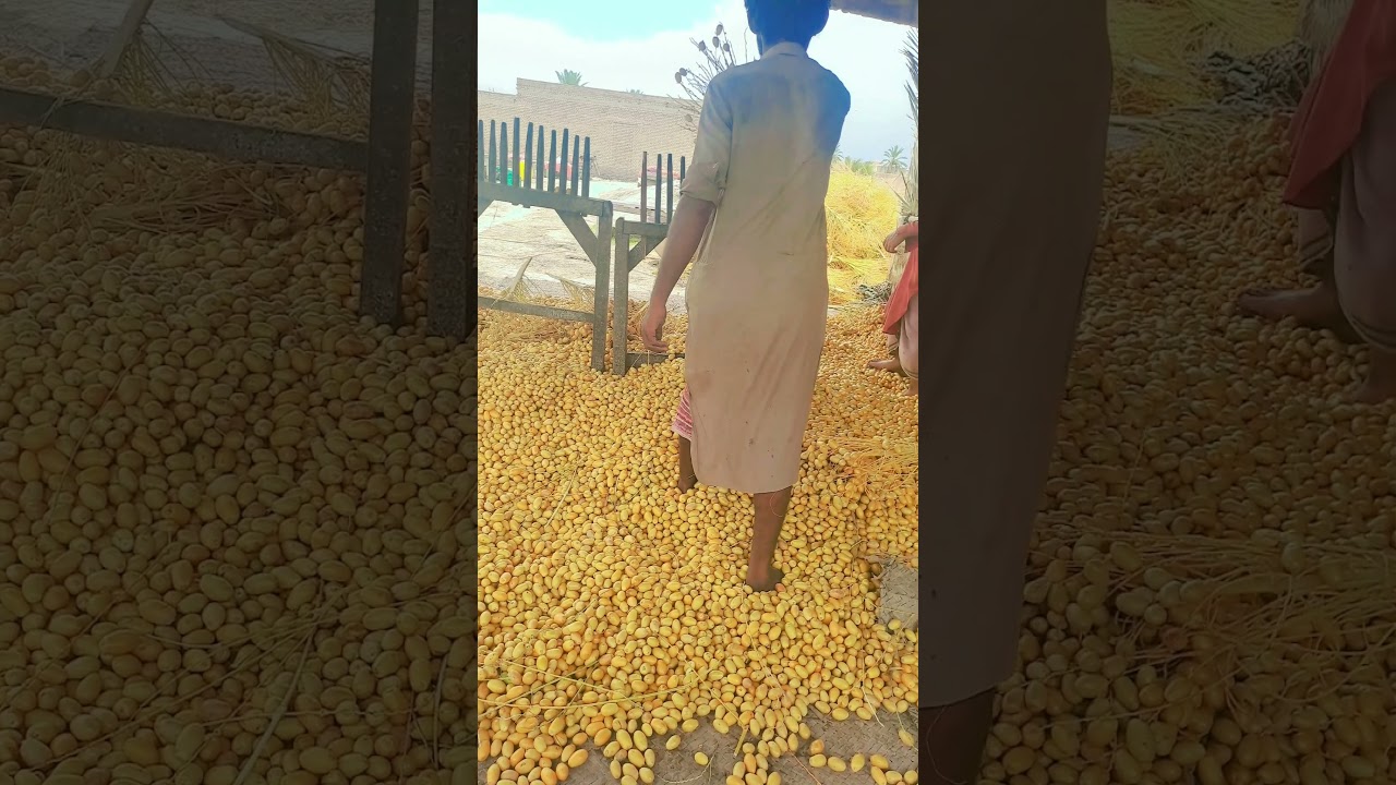 Chhuhara Making Process: Step 1 