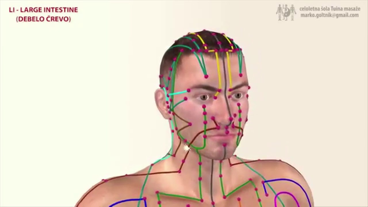 Meridianos Intestino Grosso e Estômago