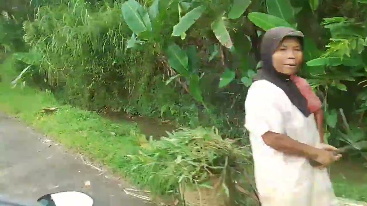 Suasana di kampung . Dusun petir desa limbangan watumalang. 