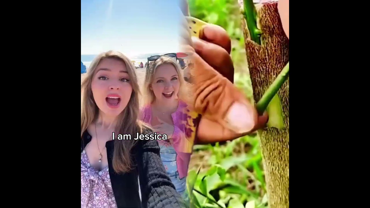 🤣👌👌👌2026 pov Must Watch Crazy Clips Compilation 