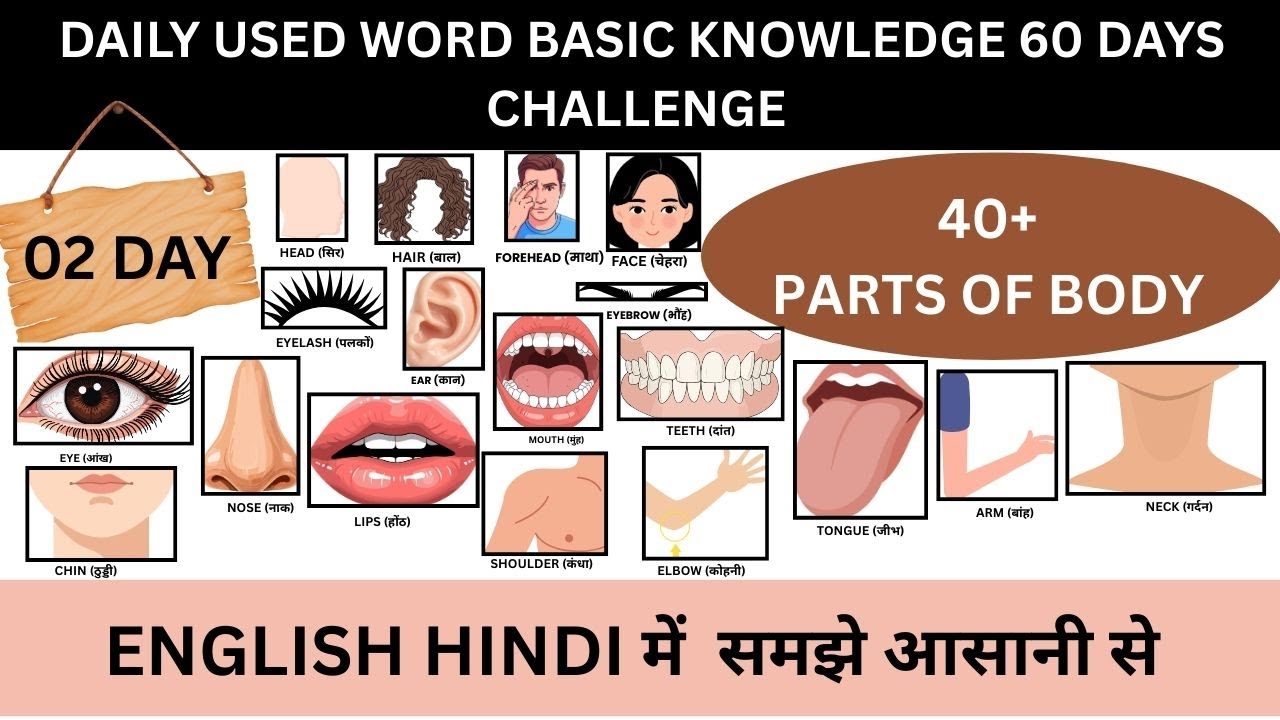 Daily Used Word Basic Knowledge Day 02 | Parts of Body Name in English & Hindi | 60 Days Challenge