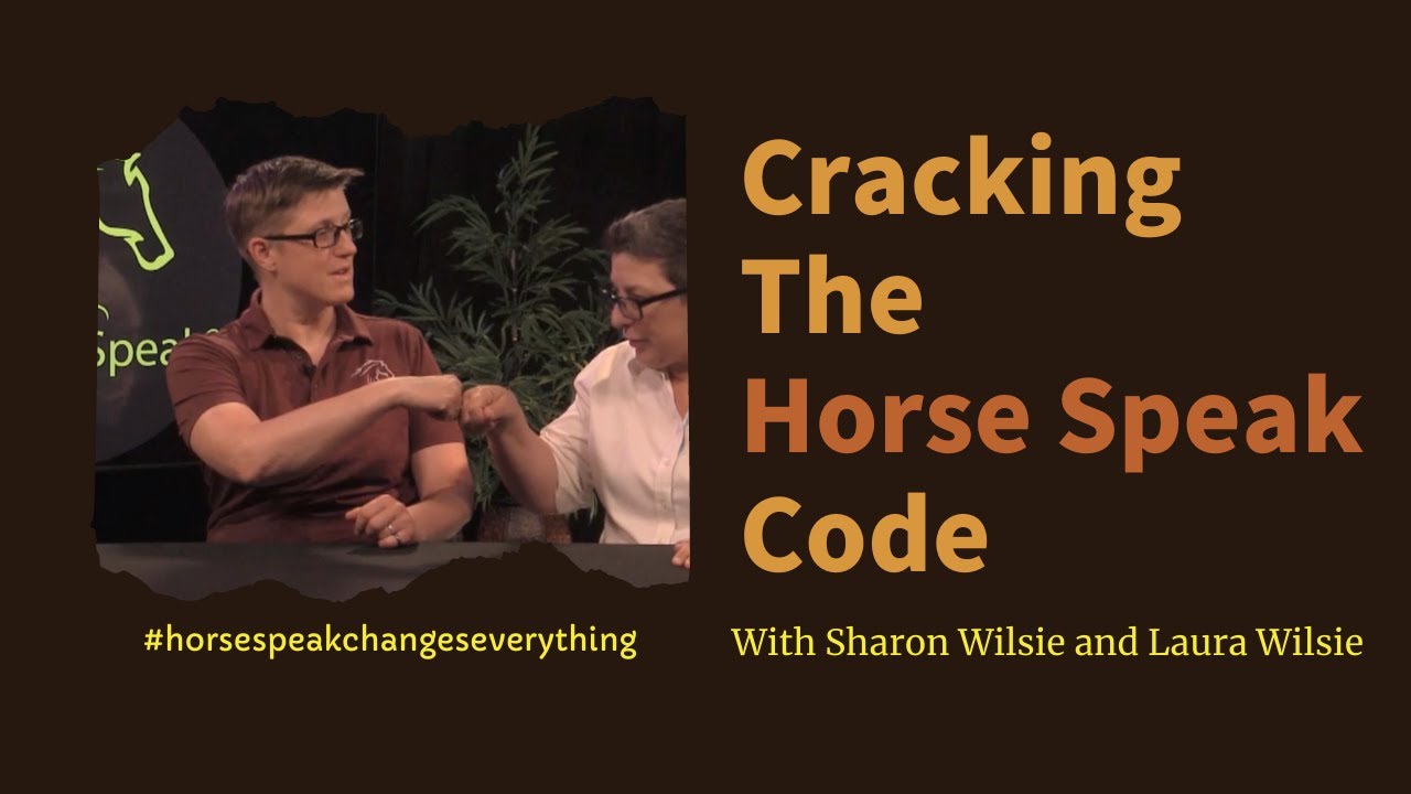 Разгадывая код Horse Speak® — Эпизод 6 — Динамика стада