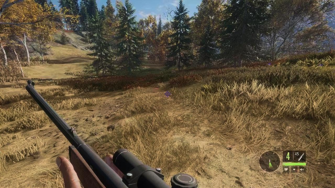 theHunter: Call of the Wild part 1 let take a vacation
