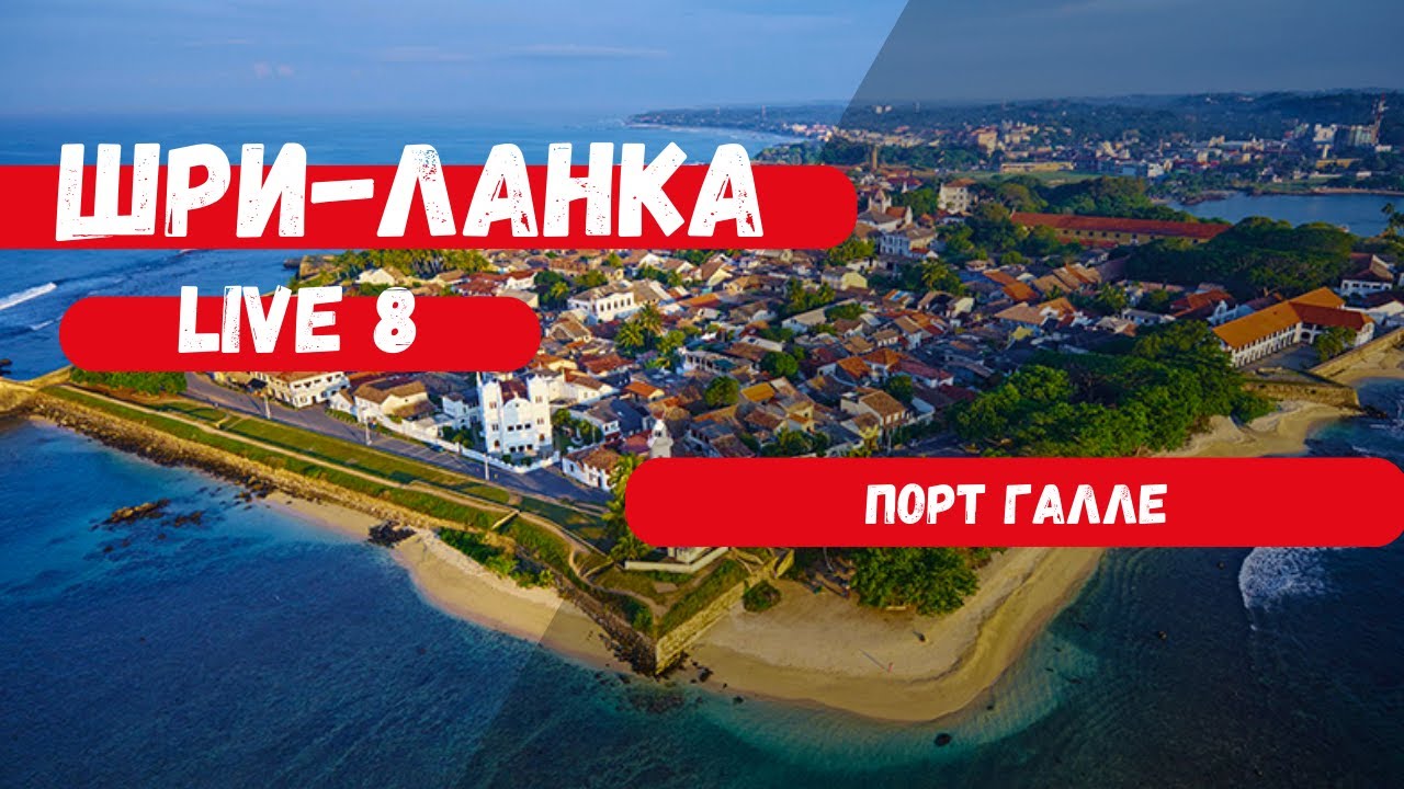 Форт ГАЛЛЕ в несезон. Местные приставалы.