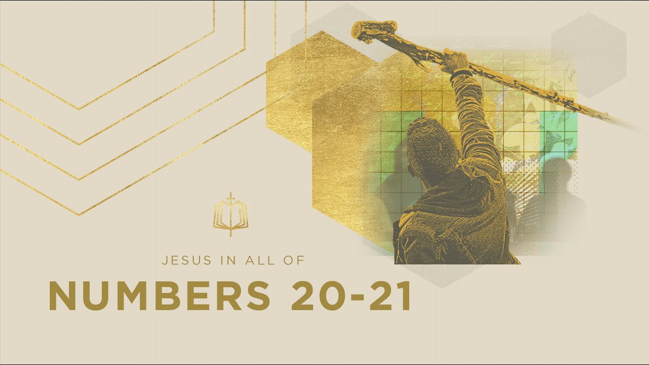 Numbers 20-21 | The Bronze Serpent | Bible Study