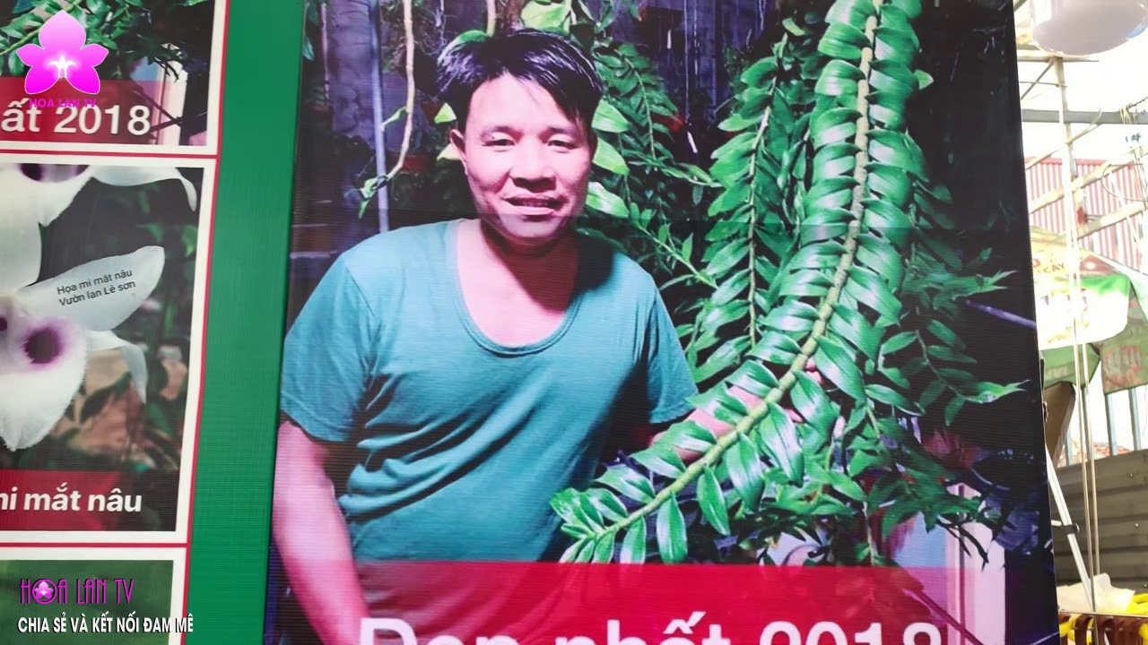 Từ Thợ Mộc Thành Chủ Vườn Lan Hàng Chục Tỷ Đồng - Vườn Lan Dương Thảo [HOALANTV]