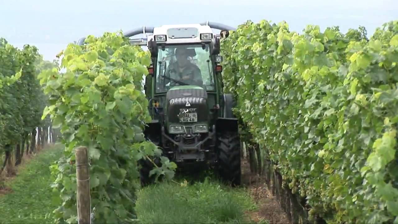 Fendt Vario 200 V/F/P im Einsatz | Fendt