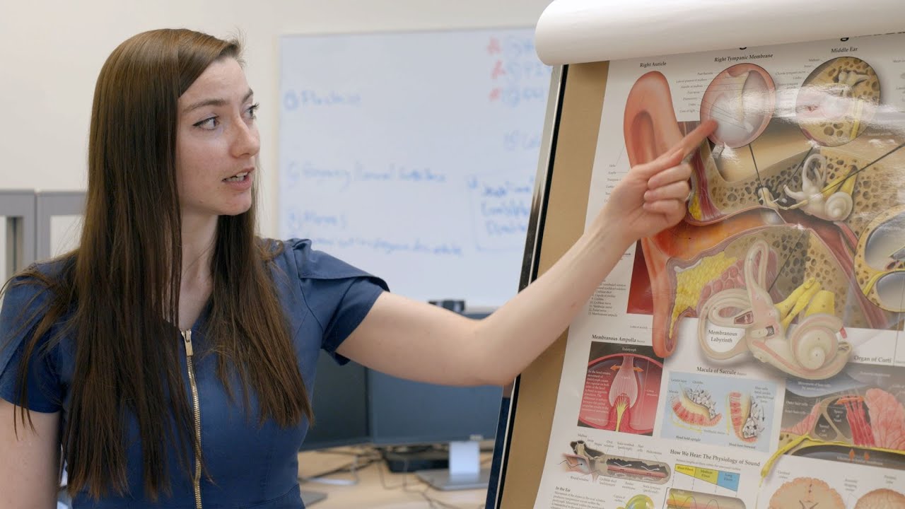 Occupational Video - Audiometric Technician