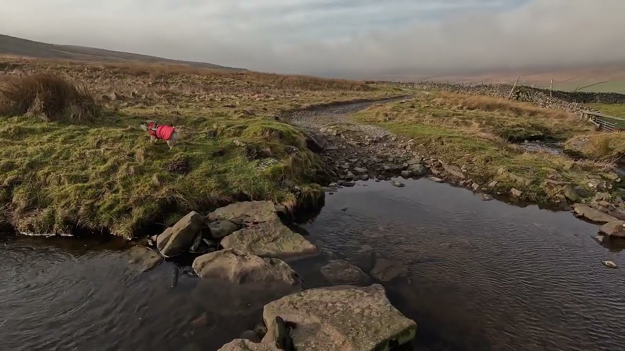 Darnbrook Fell, Yorkshire Dales - Dales 30 - WC041
