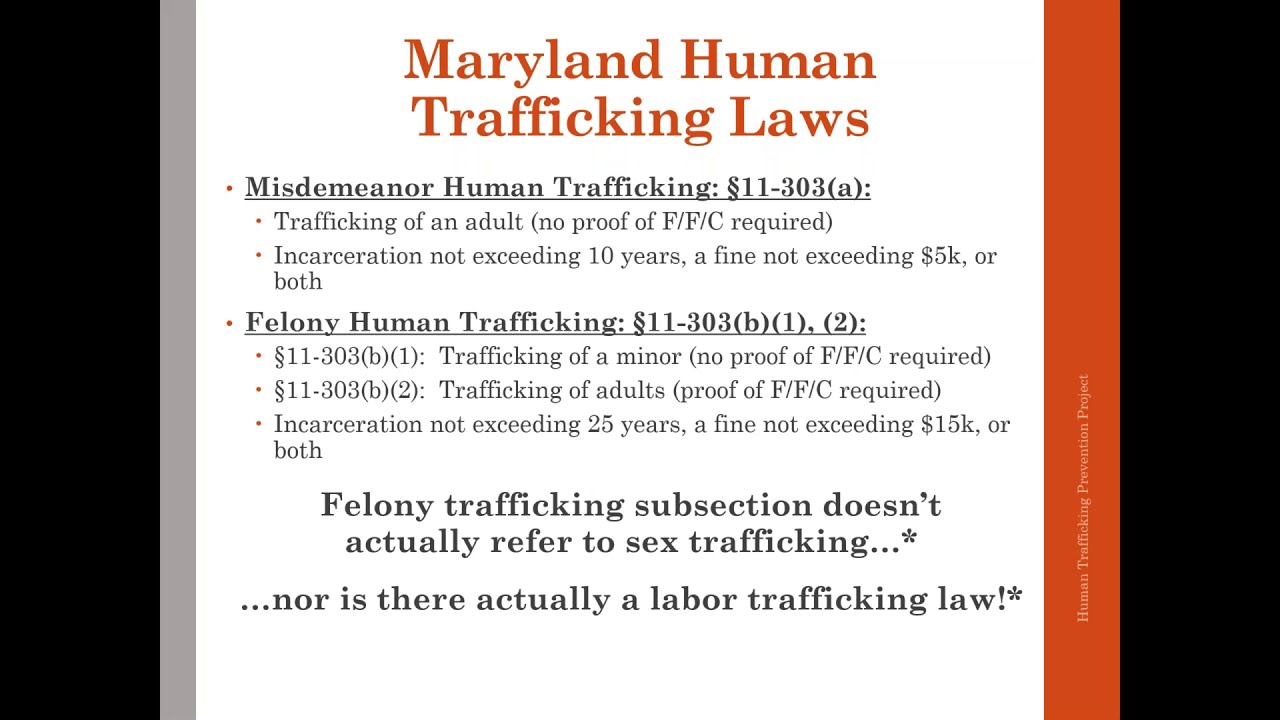 Introduction to Human Trafficking Laws and the Collateral Consequences of Criminalizing Survivors