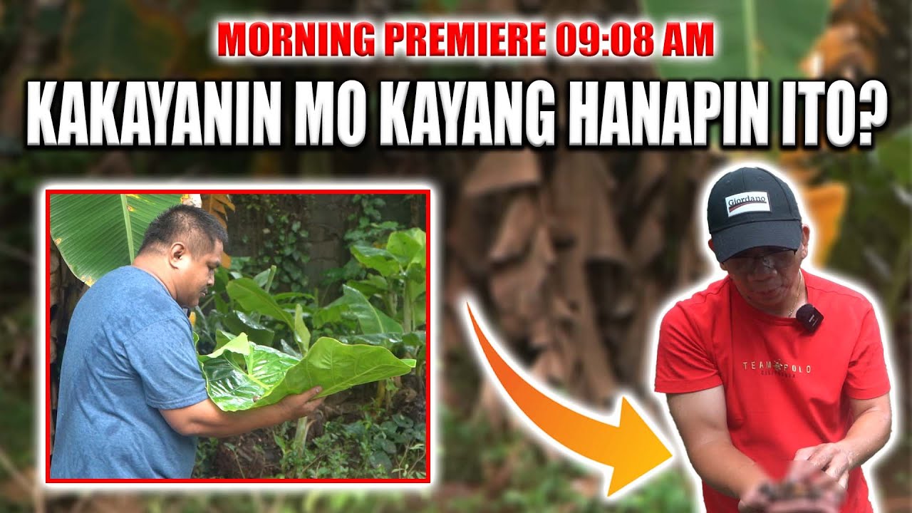 MAY KAKAIBA KAMING NAKITA ANO NGA BA ANG TAWAG DITO?