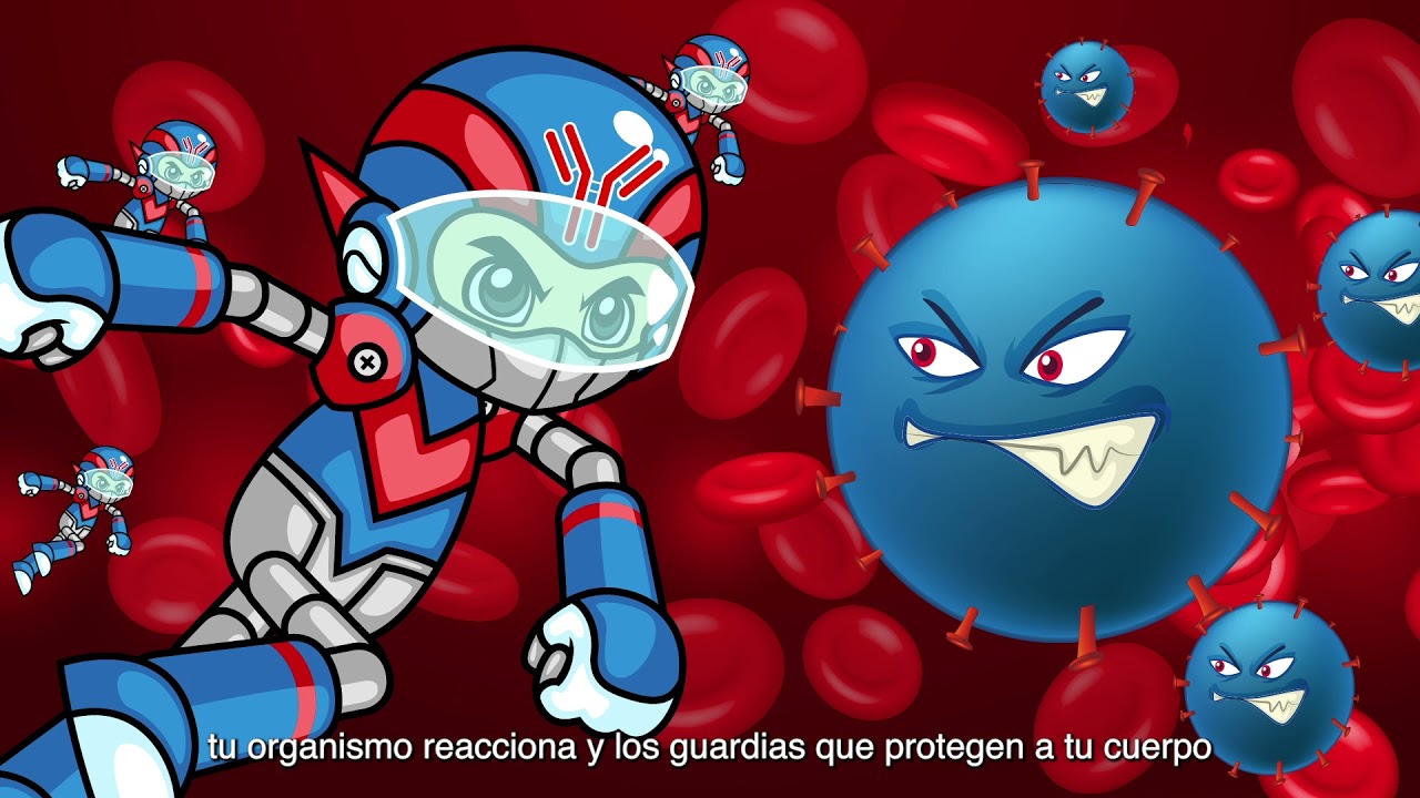 ¿Cómo funcionan las vacunas?