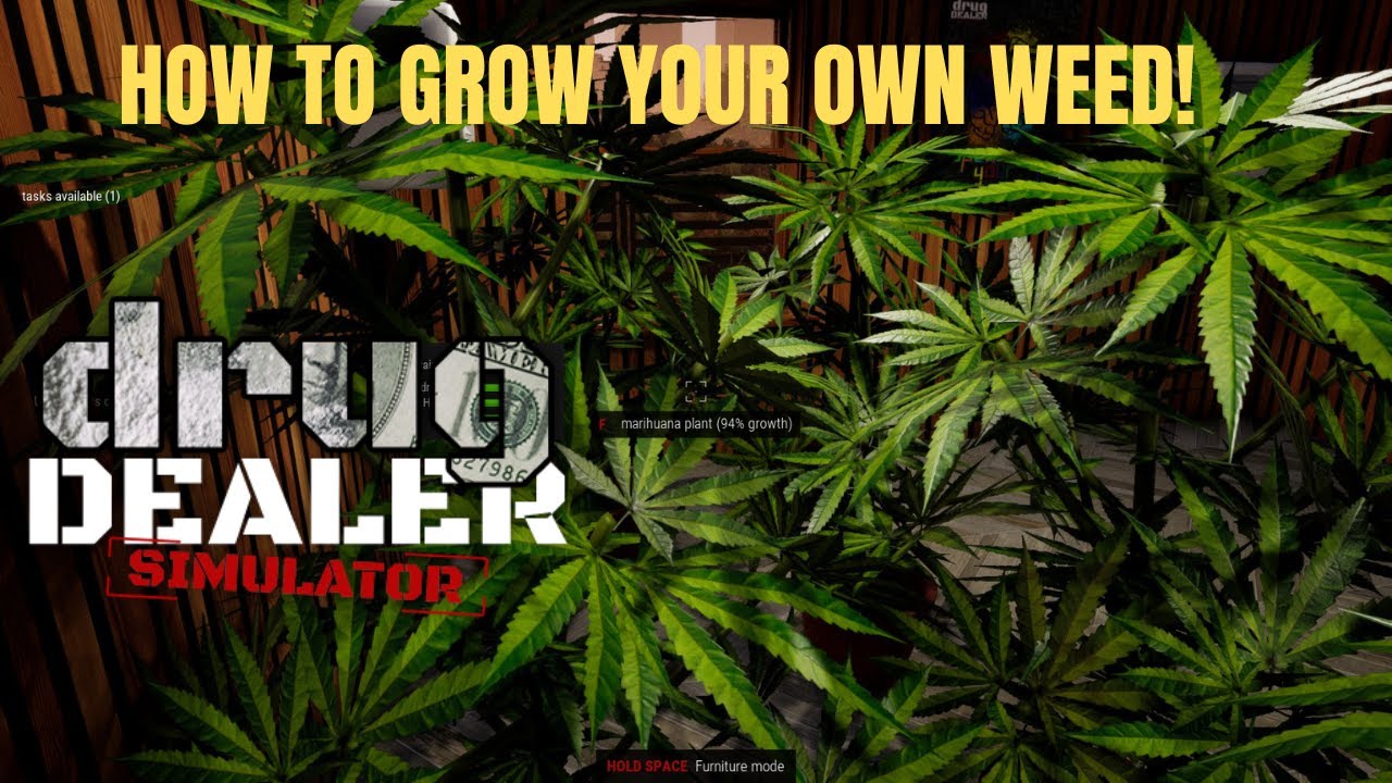 HOW TO GROW YOUR OWN WEED IN DDS!