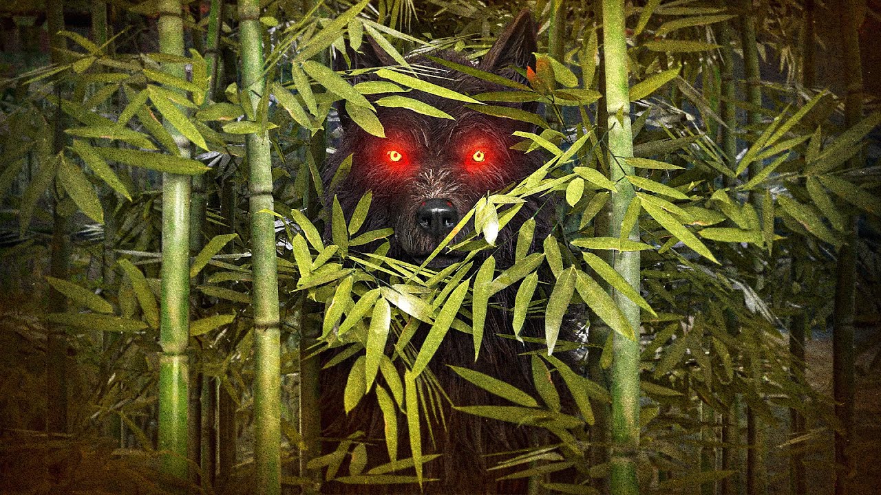 The Wolf Form Trick You NEED To Try...