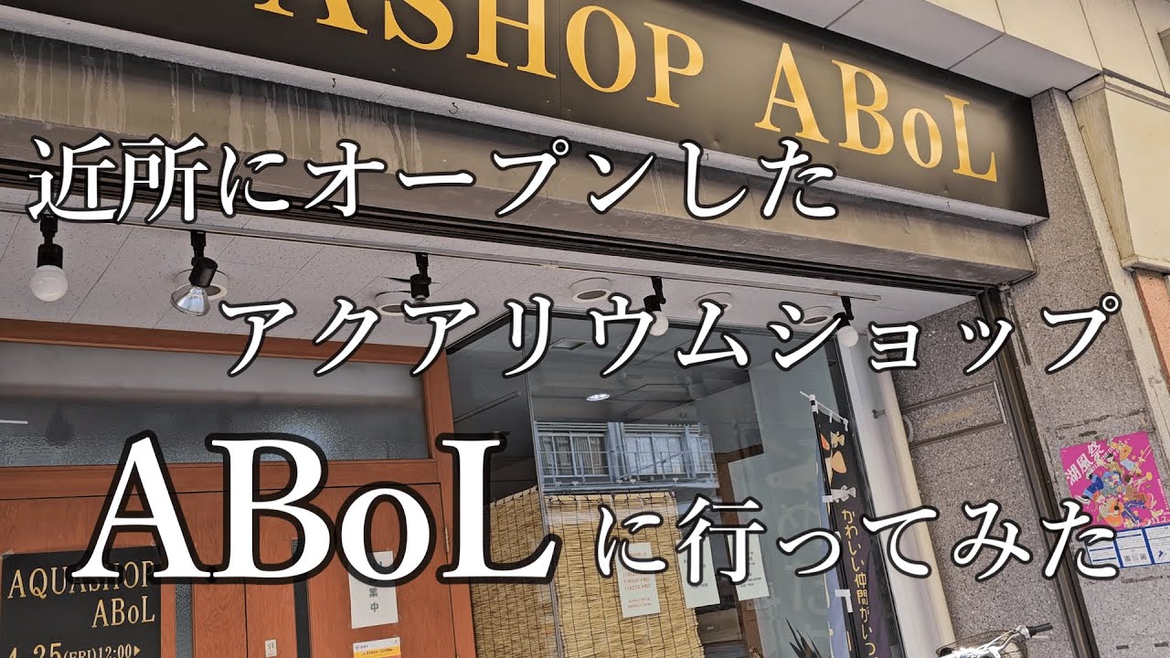 近所にアクアリウムショップがオープンしてたので行ってみた＃アクアリウムショップ＃ABoL