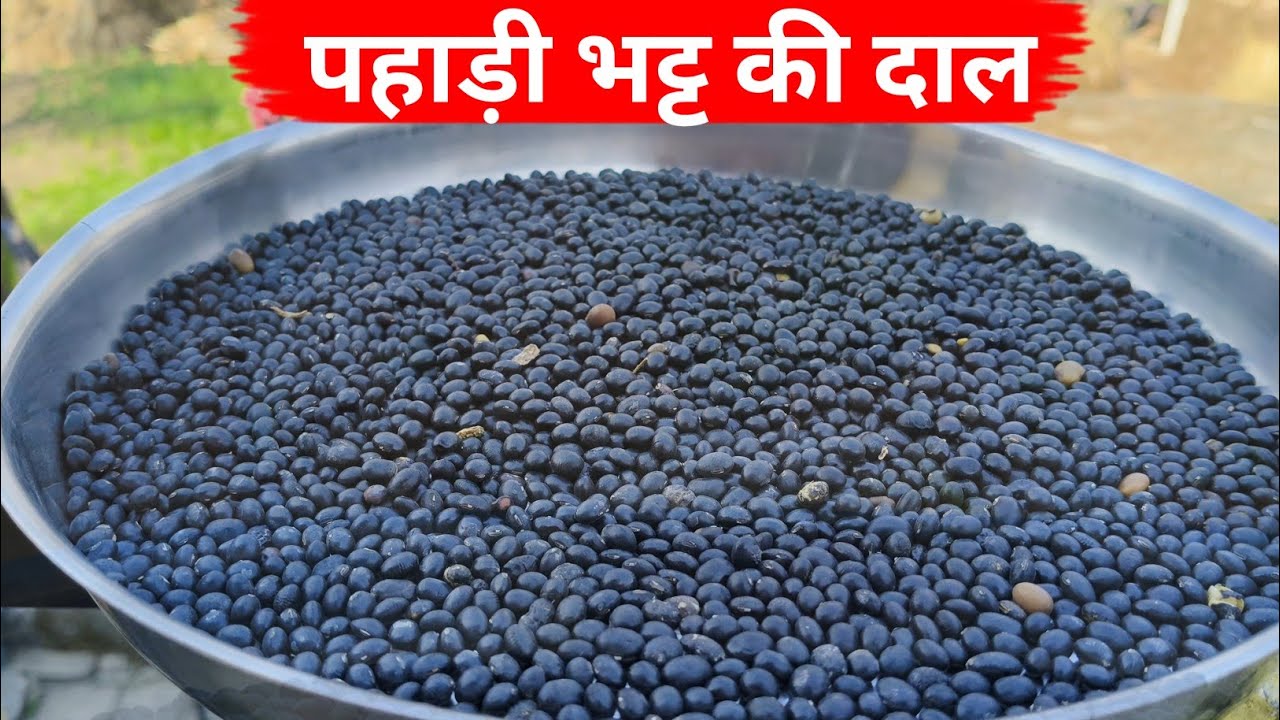 भट्ट की डुबके कैसे बनाते हैं | Pahadi dal | Bhatt ke dubke | Humchhupahadi |