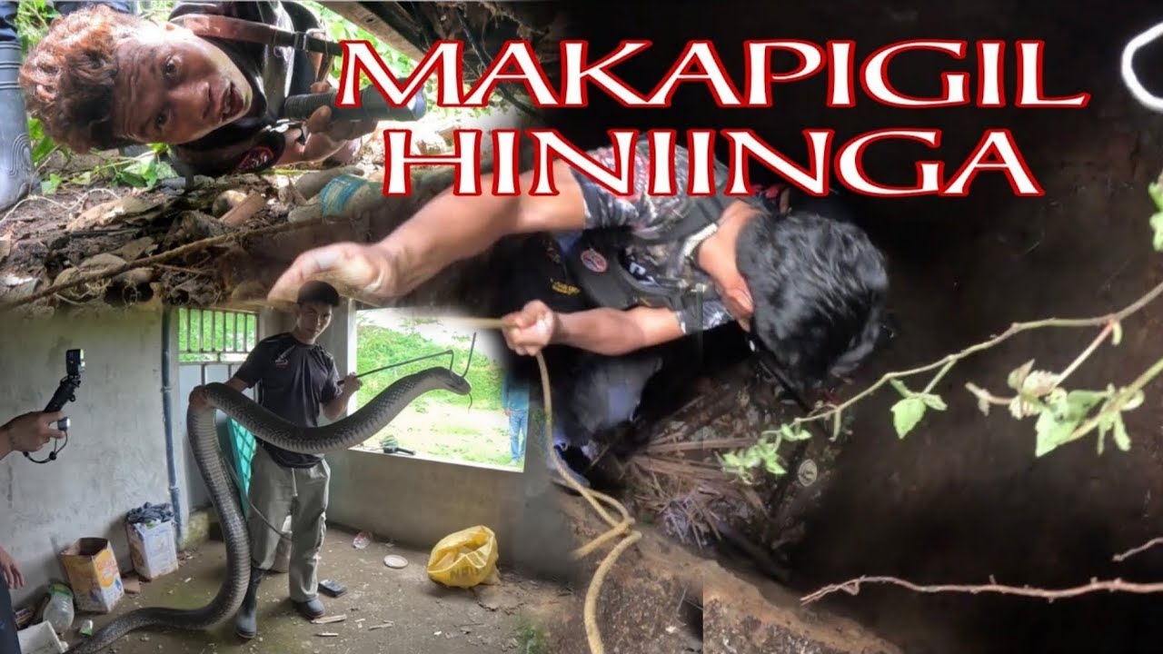 PUMASOK SA SEPTIC TANK NG DUMI NG TAO MAHULI LANG ANG COBRA 